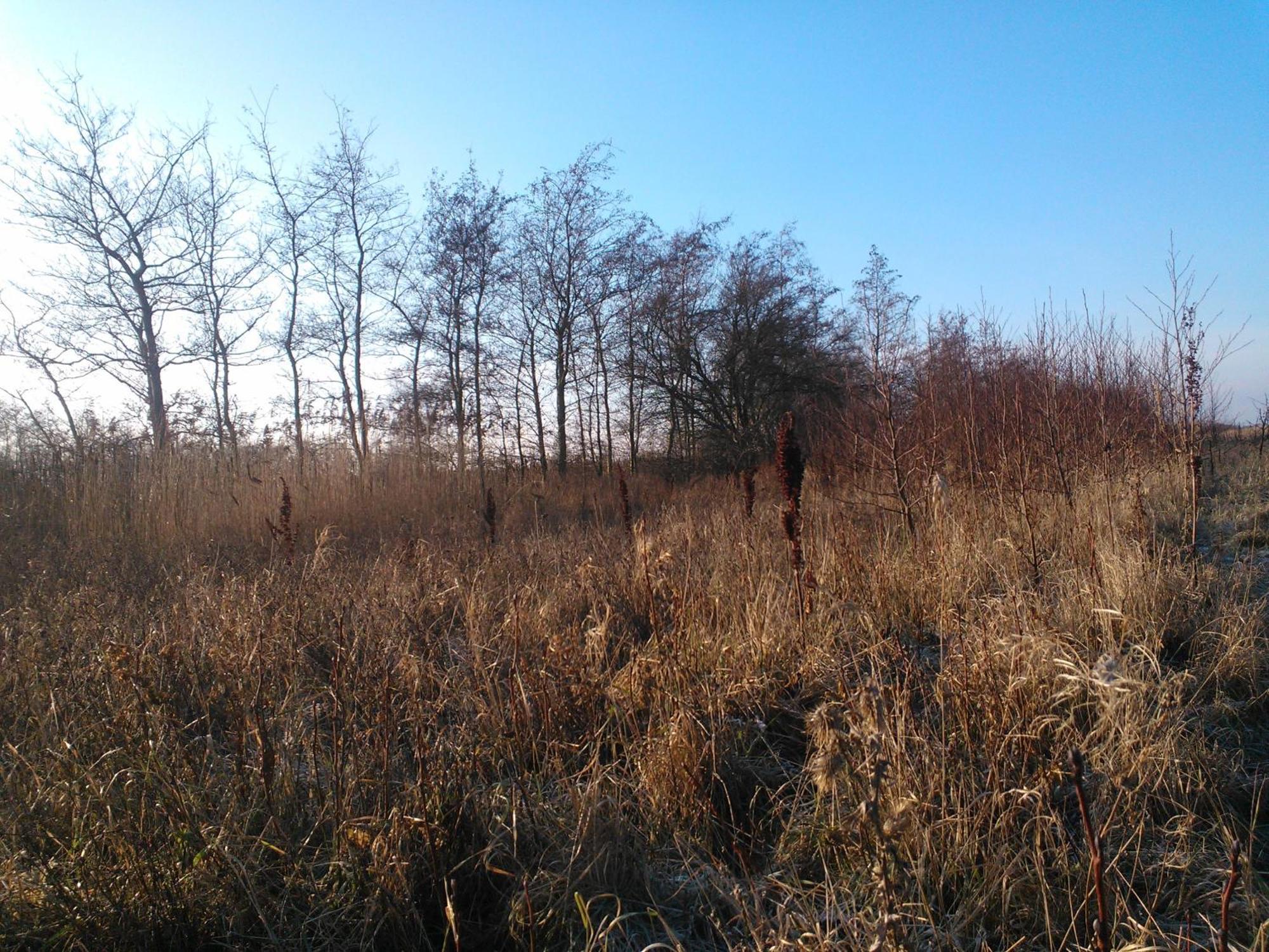 Holmehuset Bed & Breakfast Kalundborg Luaran gambar